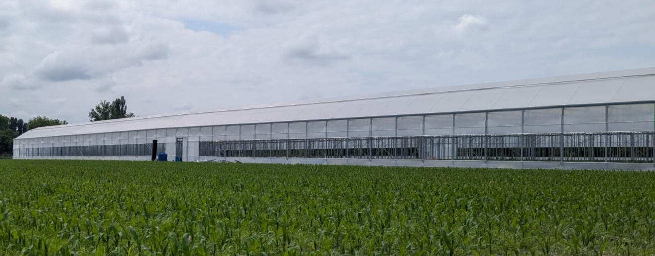 POMIDO - გალვანიზირებული სათბურის (satburi) მშენებლობა ფირი კონსტრუქცია დასრულებული