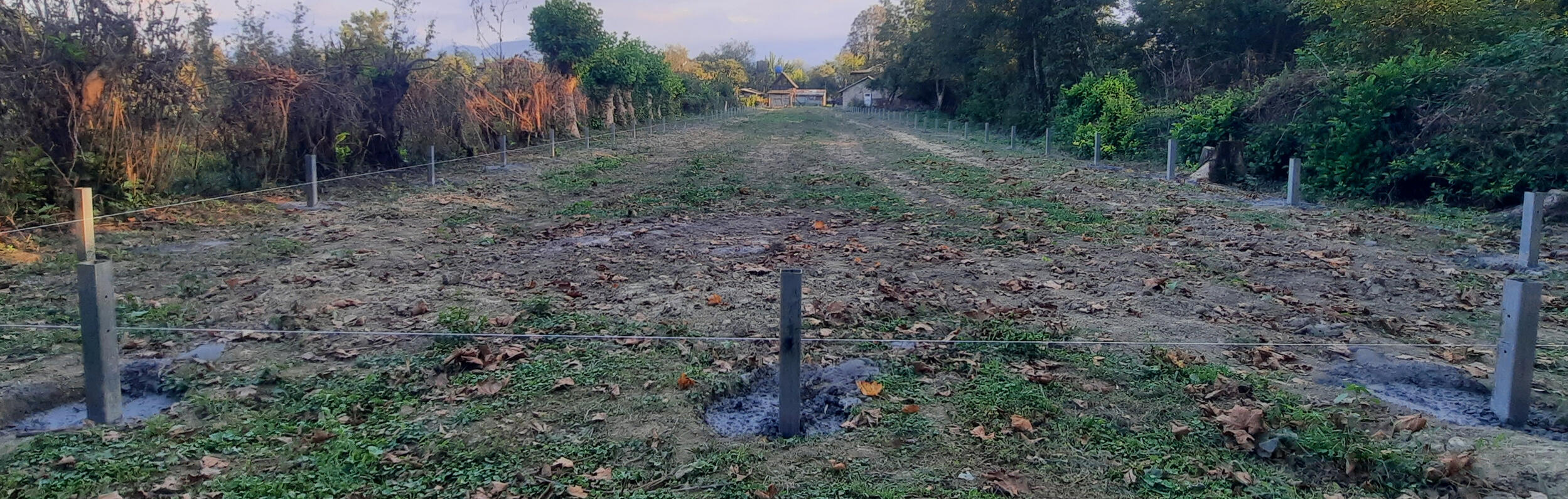 POMIDO - გალვანიზირებული სათბურის (satburi) ანკერების ჩაბეტონება POMIDO - გალვანიზირებული სათბურის (satburi) ანკერი