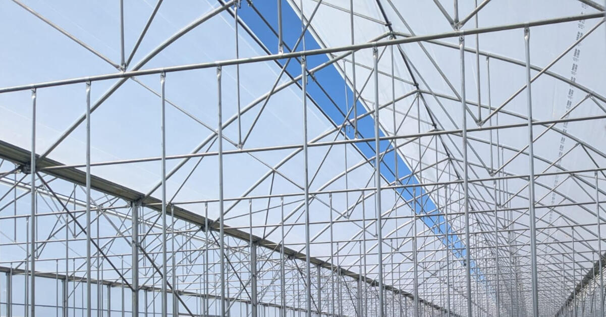 სათბური (satburi) კონსტრუქცია - POMIDO POMIDO სათბურის (satburi) ქარხნული კონსტრუქცია საქართველოში