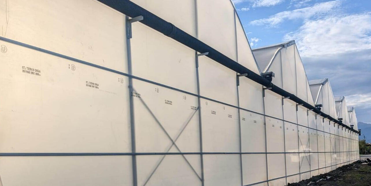 თანამედორვე სათბური (satburi) სპეციალური სასათბურე ფირით და ჟოლობებით - POMIDO თანამედროვე სათბური (satburi) სპეციალური ფირით და ჟოლობებით POMIDO - სგან